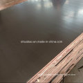 WBP Glue Waterproof Plywood Poplar Core Brown Film
